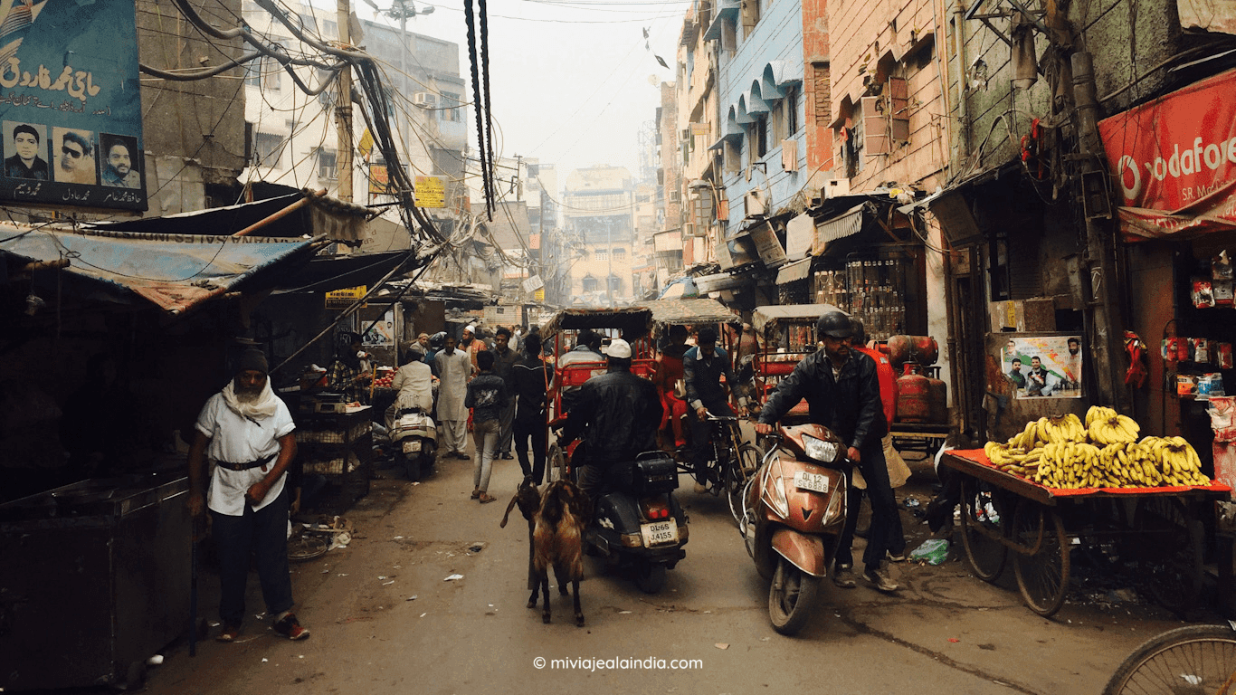 Chadni Chowk y sus bulliciosas calles