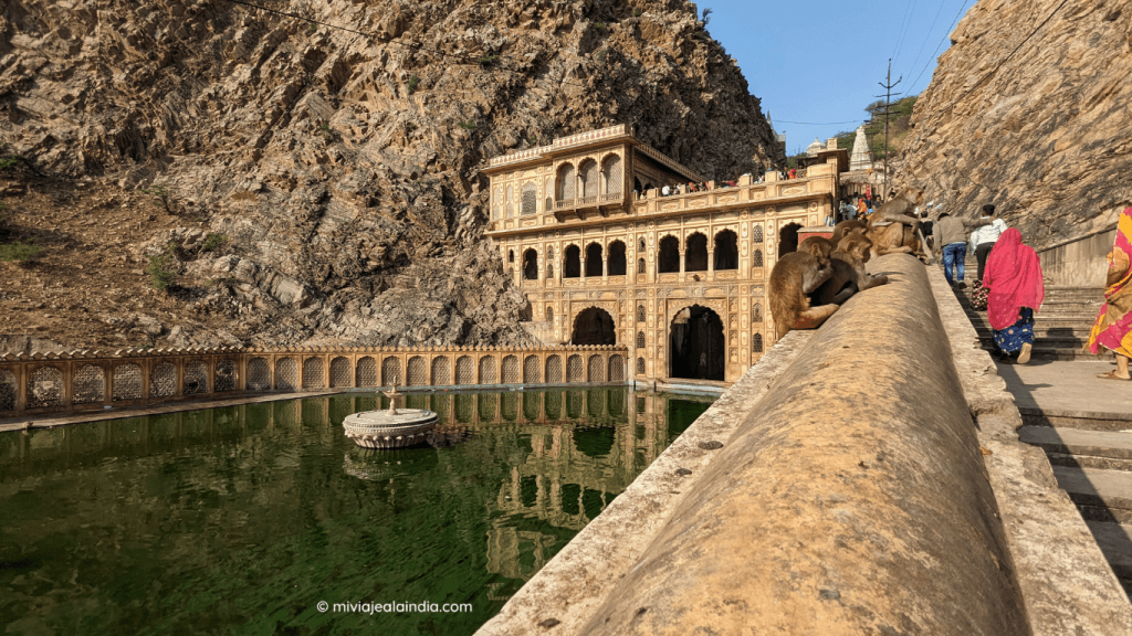 Templo de los Monos Galtaji en Jaipur